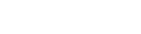 SpeedFleet Invoice